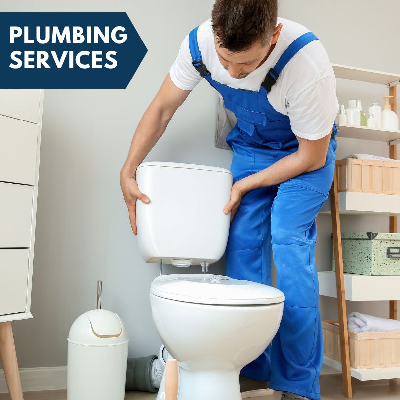 Plumbing Company in Goodrich, MI